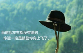 寿联大全之男女通用祝寿对联集锦 第1张
