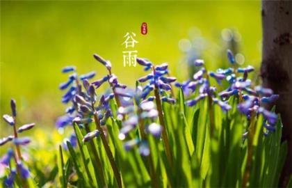 品茗香幽远 煮泉问尘世 第1张
