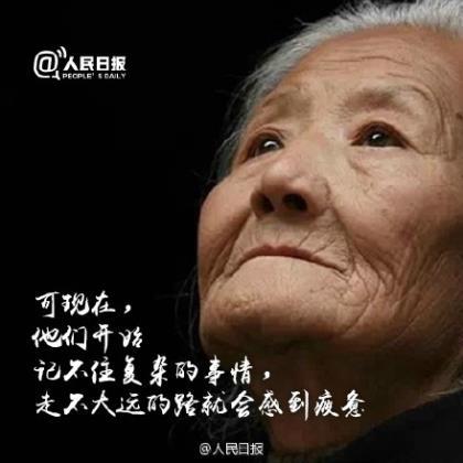 青春的梦想 第1张