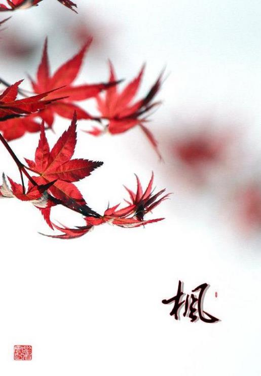 南越最后一任皇帝赵建德的生平简介 南越国是怎么被灭的？ 第1张