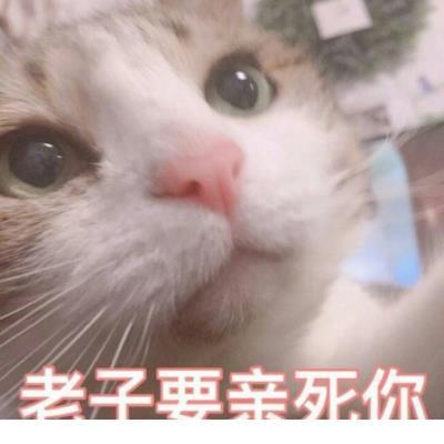 励志语录：100条励志的句子 第1张