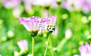 咖啡广告短语 第1张