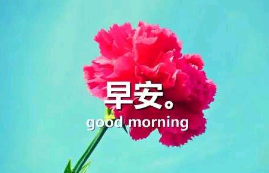 杜鹃花如血绽放 第1张