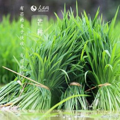 钓鱼谚语解释 第1张