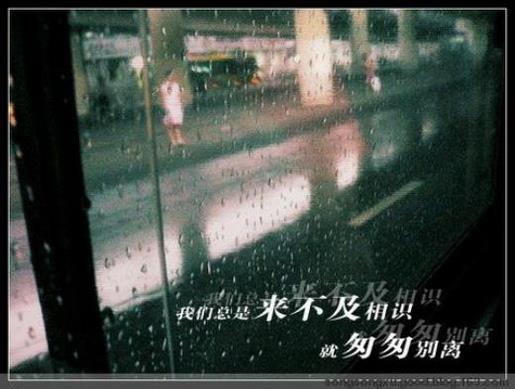 包含生肖、属相的春联对联大全 第1张