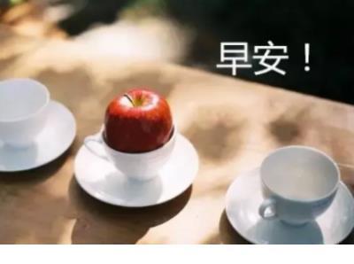夸夸我的学校作文 第1张