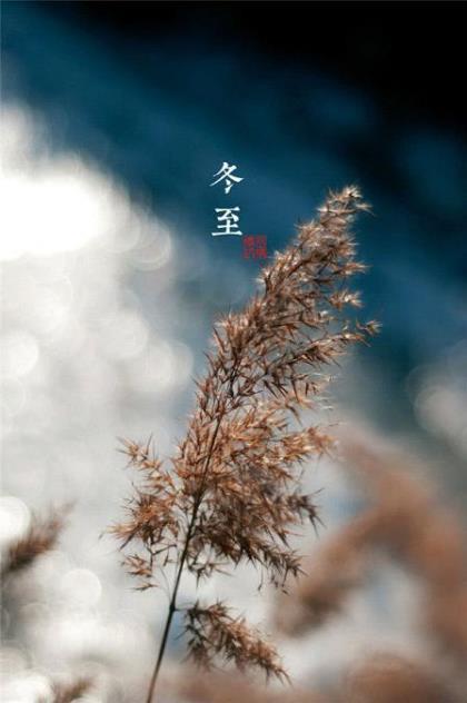 梁启超集句联对联大全 第1张