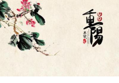 李泽厚：苏轼的意义 第1张