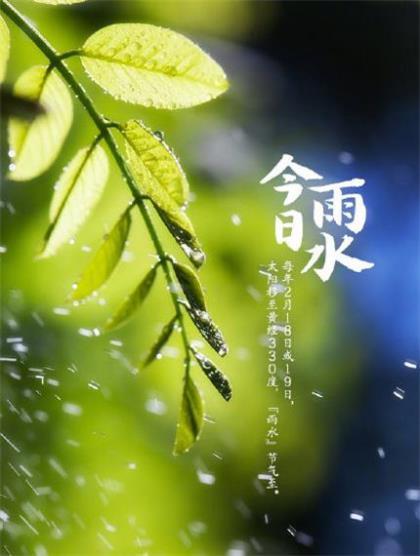 形容机动、灵活、随机应变的歇后语 第1张