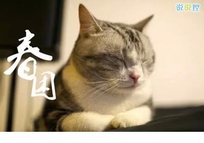 冬日暖阳作文 第1张