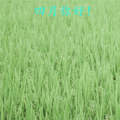 剪一段光阴，暖心 第1张