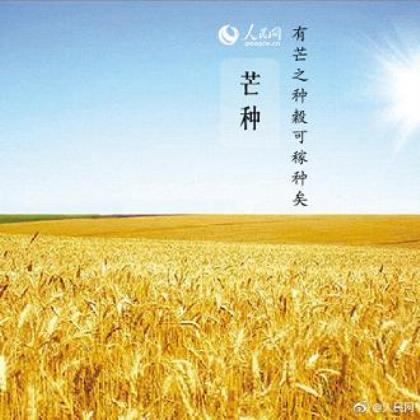 关于狮子的谚语、民谚、俗语 第1张 关于狮子的谚语、民谚、俗语 第1张