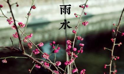 漫画老师作文 第1张