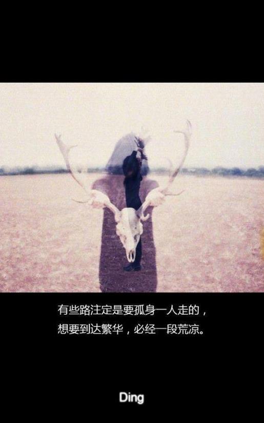 又是一年月圆时 第1张