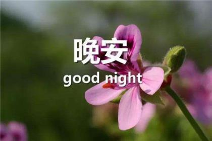 你永远是我最深爱的唯一 第1张