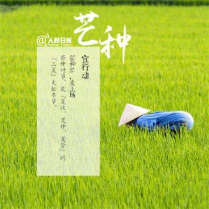 成长感悟作文600字 第1张