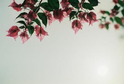 信心作文 第1张