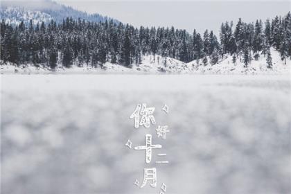 这儿真美作文300字 第1张