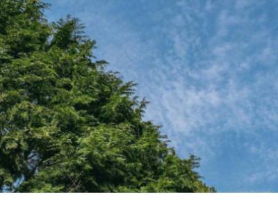 表达思念之情的优美爱情诗歌：爱神的孤独 第1张