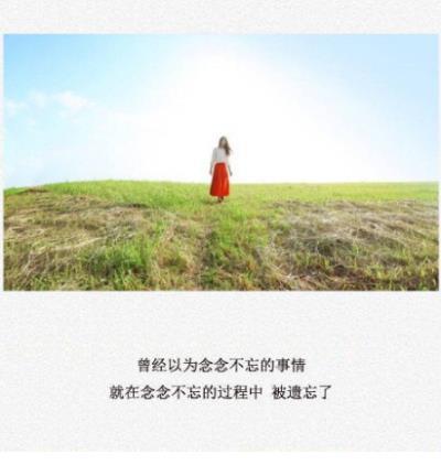 那一次我后悔了 第1张