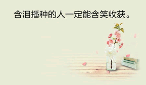 读书心得800字 第1张