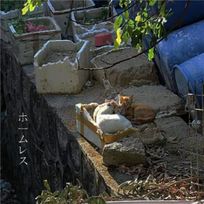 浪漫而大胆的现代爱情诗歌：想象和普希金的爱情 第1张