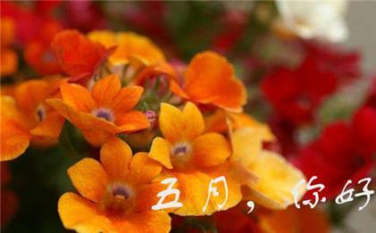 上善若水任方圆 第1张