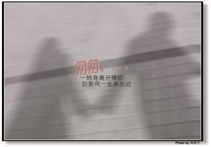 花开一季，燃烧一世芬芳 第1张