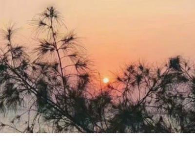 理智与情感读后感 第1张