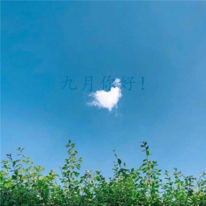 时间是治愈一切的良药 第1张