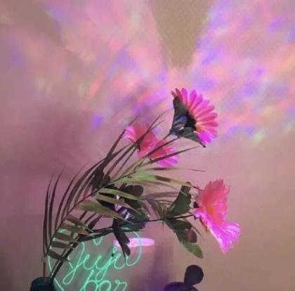 陆贞传奇经典台词 第1张