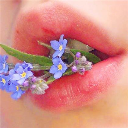 春天的花园 第1张