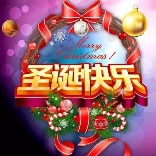 中班幼儿观察记录 第1张