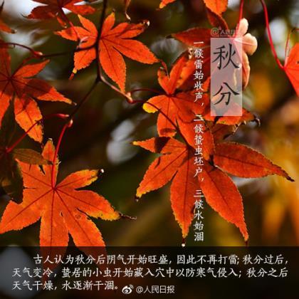 20年后再读《笑傲江湖》 才知令狐冲的运气 金庸 第1张