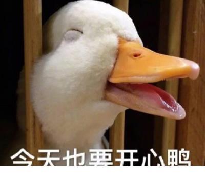 关于钓鱼的谚语、民谚、俗语 第1张