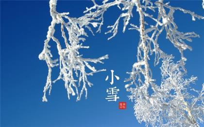 爱情诗|如果真爱你就不打扰了 第1张