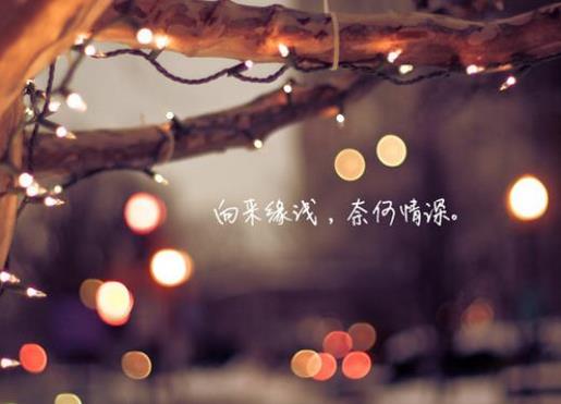 关于理想的名言佳句、名言名句 第1张