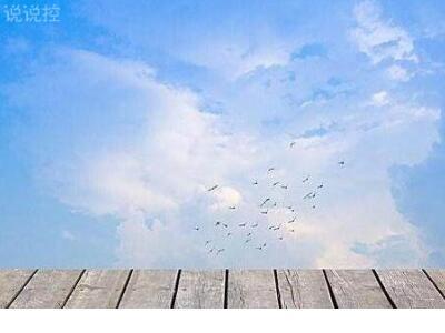 难忘那年卖冻柿子 第1张