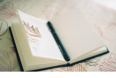 有关鸟的谚语、民谚、俗语 第1张
