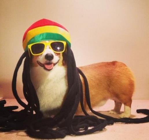 高二英语教学计划 第1张 高二英语教学计划 第1张