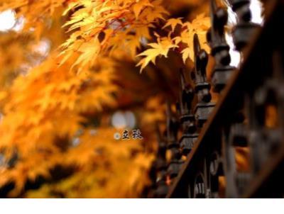 齐废帝萧宝卷有多昏庸荒淫 萧宝卷是怎么死的 第1张