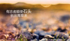 洗脸巾（洁面巾）标语 第1张
